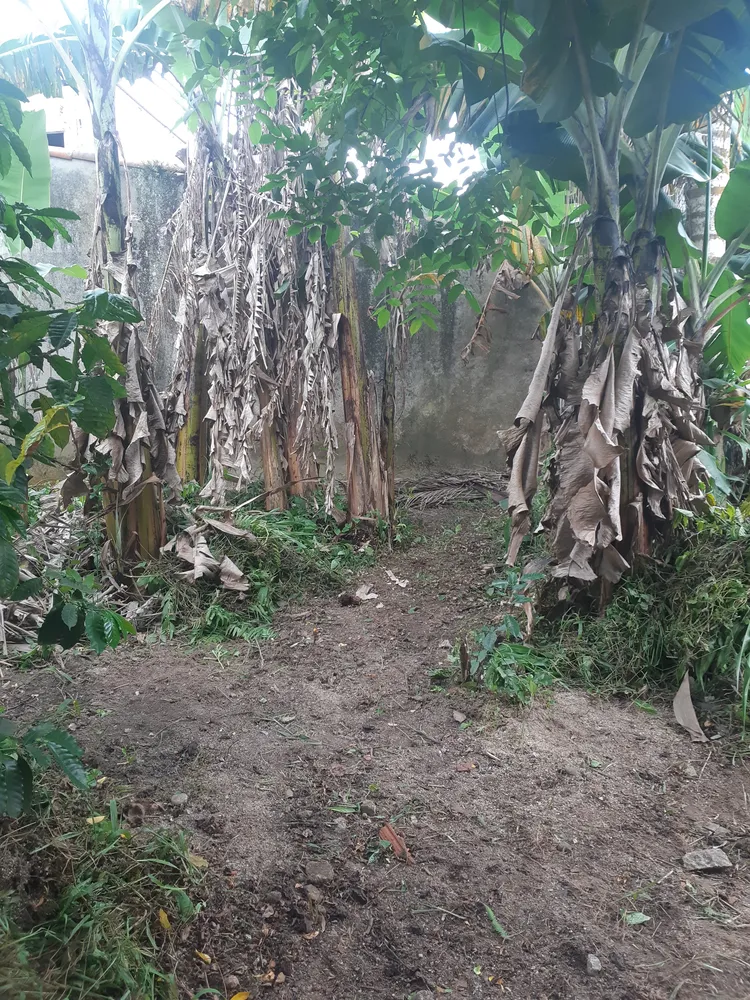 Terreno, 250 m² - Foto 6