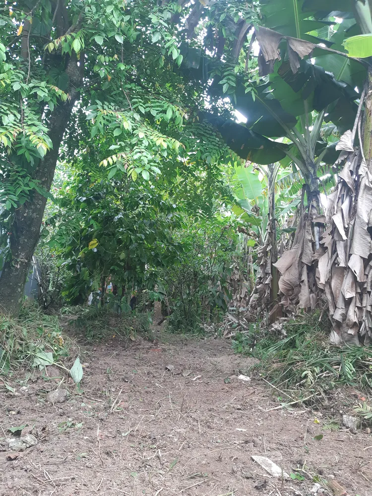 Terreno, 250 m² - Foto 11