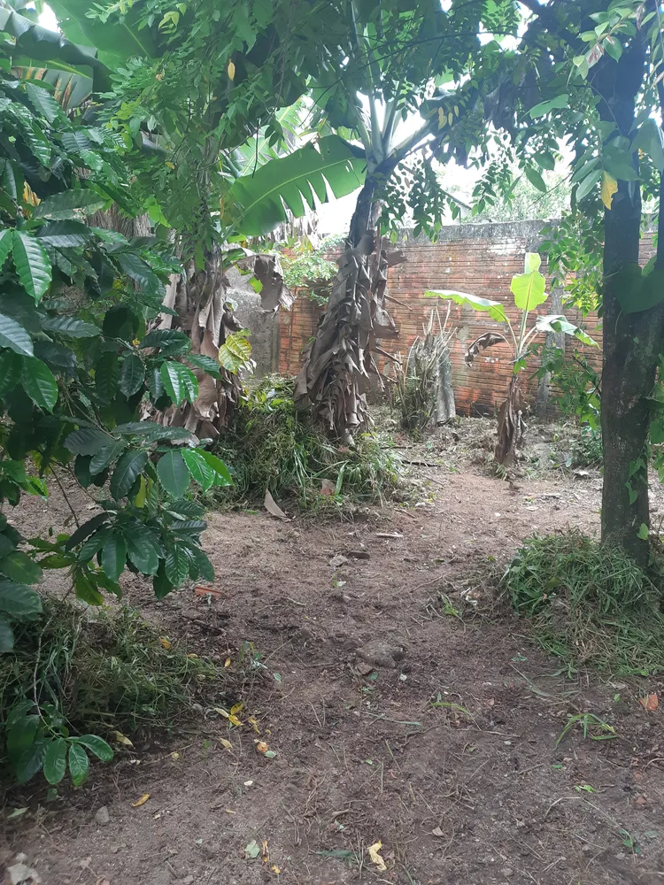 Terreno, 250 m² - Foto 9