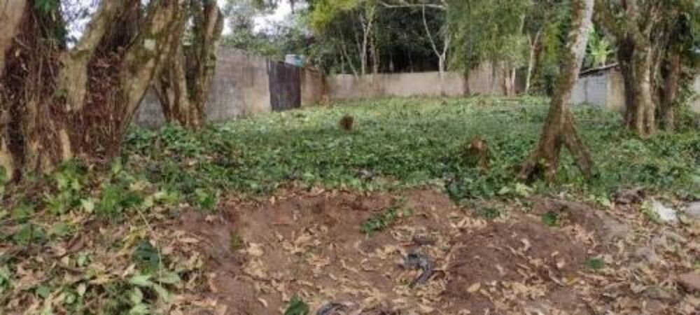 Terreno, 1000 m² - Foto 3