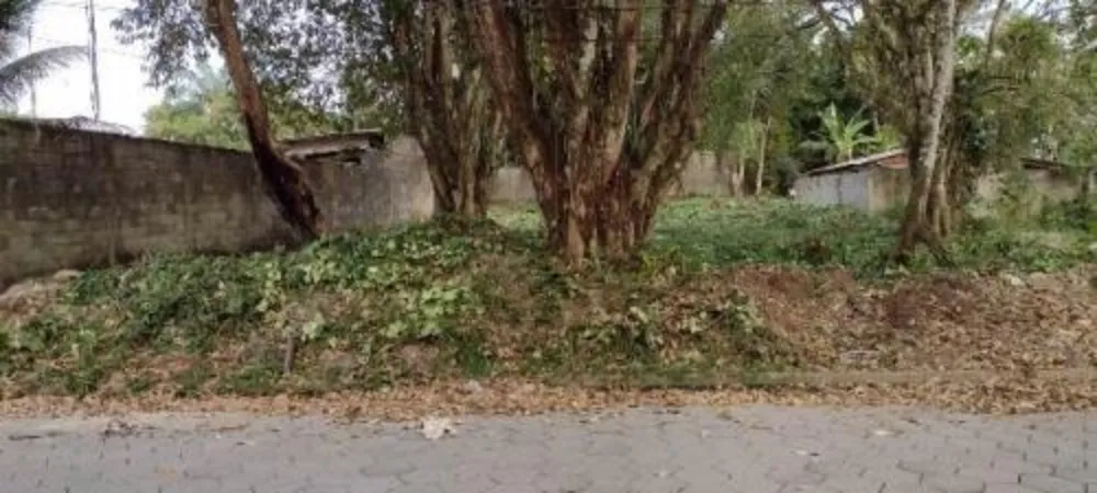 Terreno, 1000 m² - Foto 6