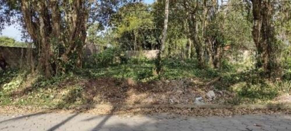 Terreno, 1000 m² - Foto 4