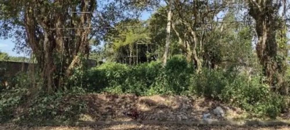 Terreno, 1000 m² - Foto 2