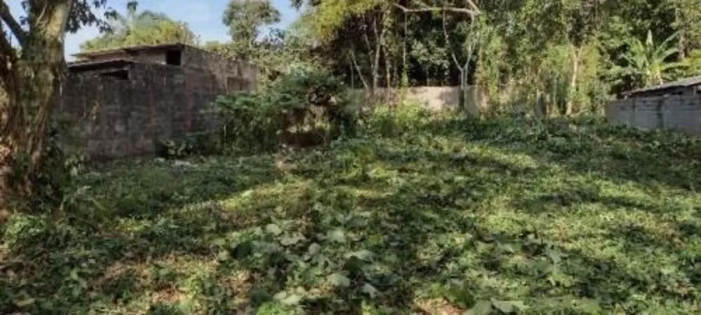 Terreno, 1000 m² - Foto 7