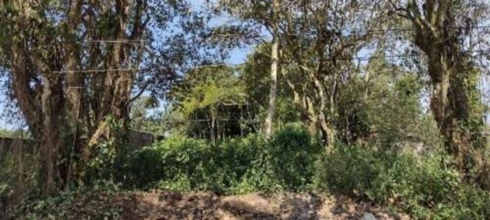 Terreno, 1000 m² - Foto 1