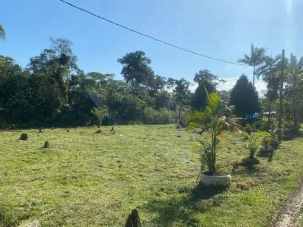 Chácara, 2 quartos, 5000 m² - Foto 5
