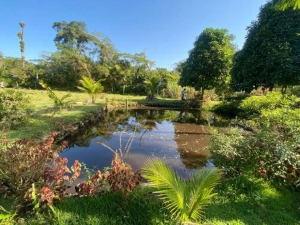 Chácara, 2 quartos, 5000 m² - Foto 4