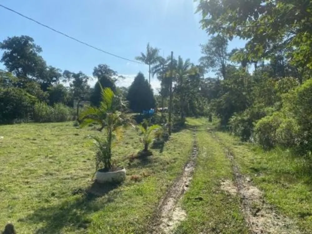 Chácara, 2 quartos, 5000 m² - Foto 3