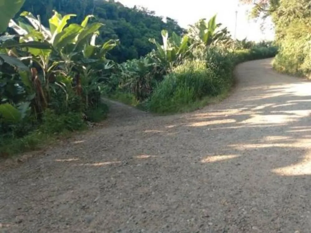 Chácara, 3 quartos, 1 hectares - Foto 7