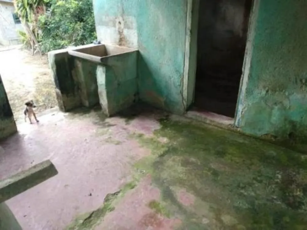 Chácara, 3 quartos, 1 hectares - Foto 12
