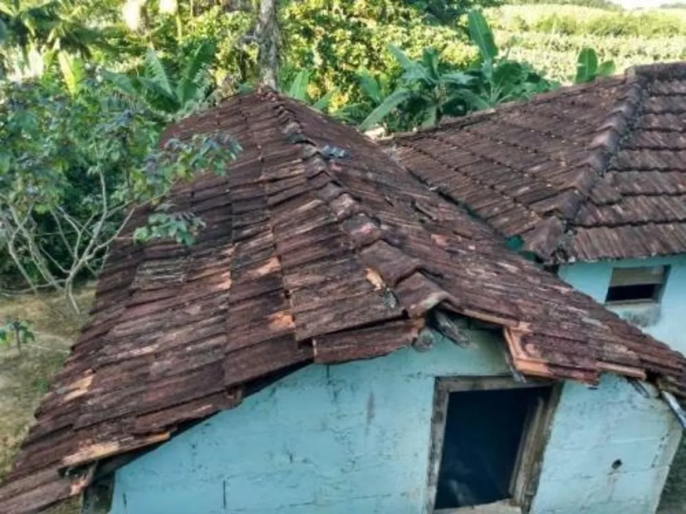 Chácara, 3 quartos, 1 hectares - Foto 10