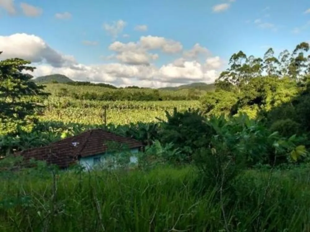 Chácara, 3 quartos, 1 hectares - Foto 6