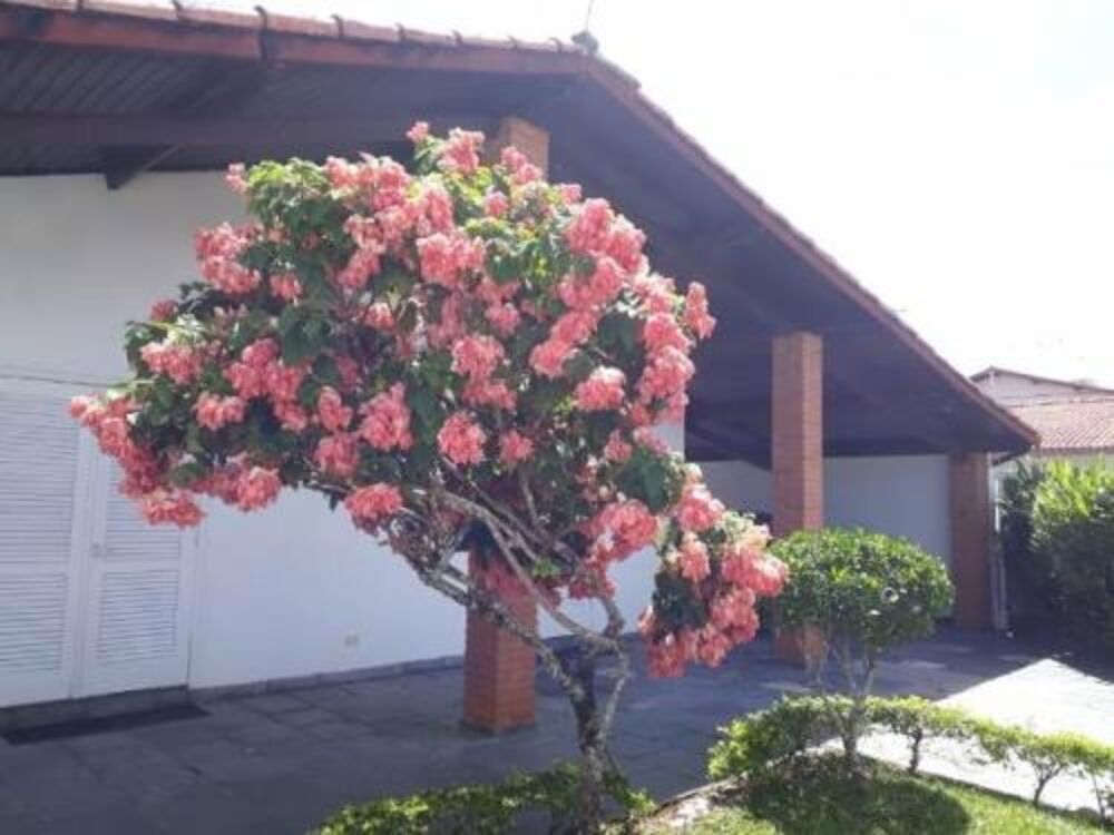 Casa, 3 quartos, 199 m² - Foto 9