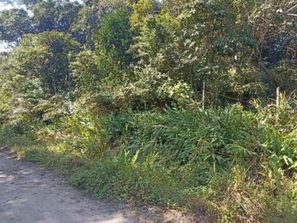 Terreno, 2400 m² - Foto 2