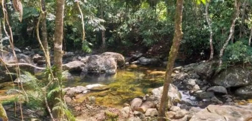 Chácara, 3 quartos, 2450 m² - Foto 1