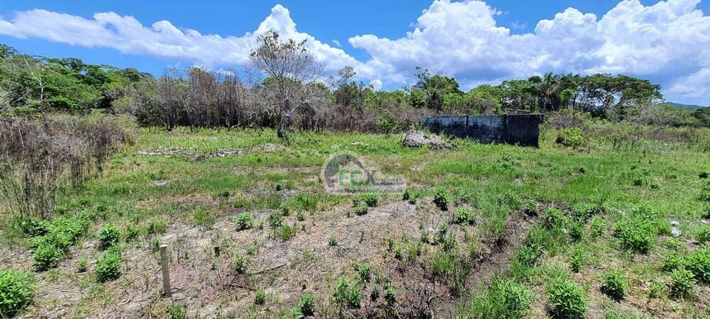 Terreno, 1000 m² - Foto 3