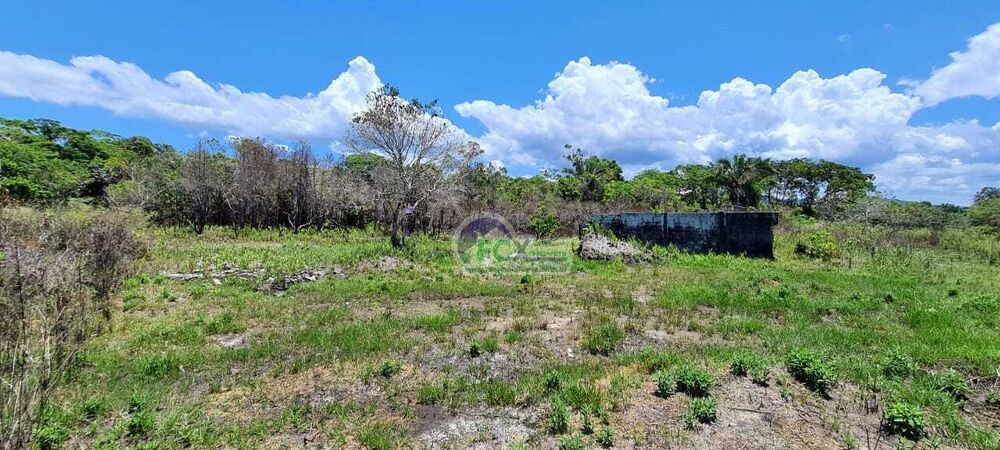 Terreno, 1000 m² - Foto 2