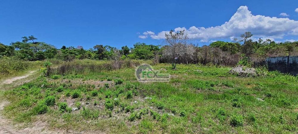 Terreno, 1000 m² - Foto 1