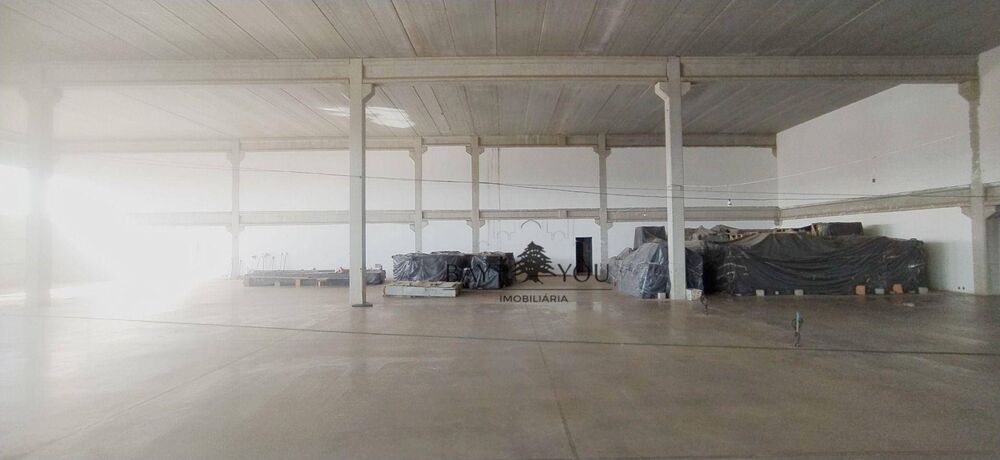 Loja-Salão, 1548 m² - Foto 6