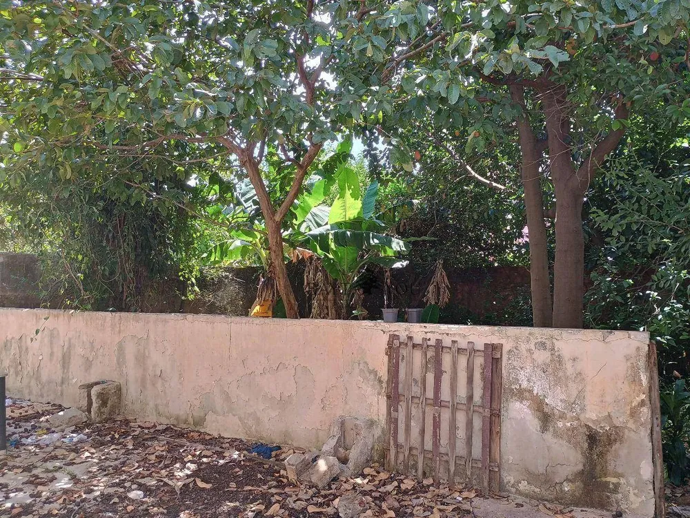 Terreno, 300 m² - Foto 1