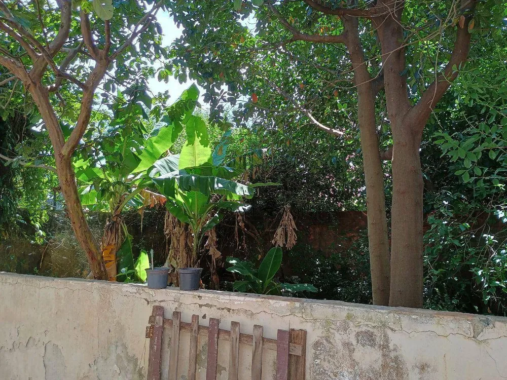 Terreno, 300 m² - Foto 14