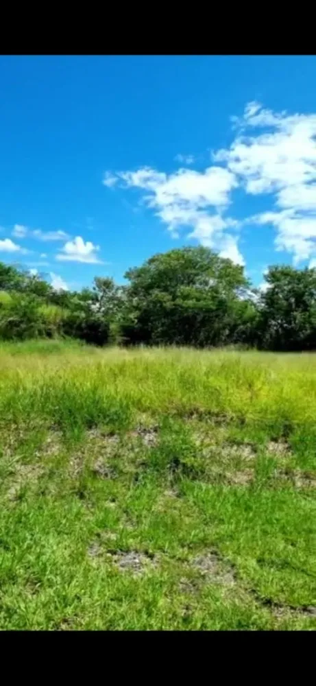 Terreno, 1455 m² - Foto 4