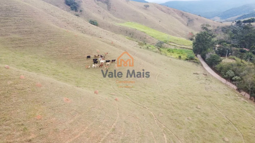 Terreno, 2 hectares - Foto 6