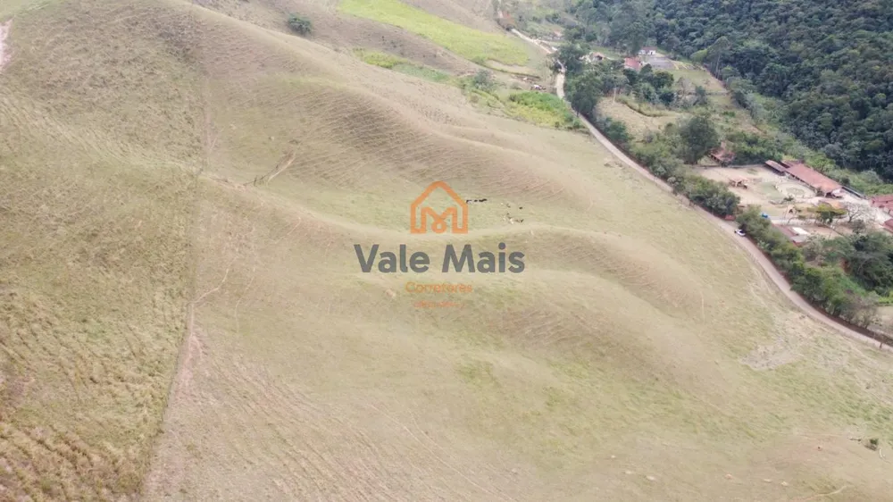 Terreno, 2 hectares - Foto 6