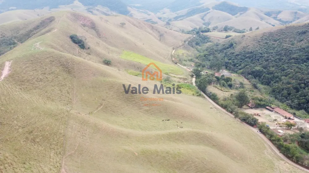 Terreno, 2 hectares - Foto 7