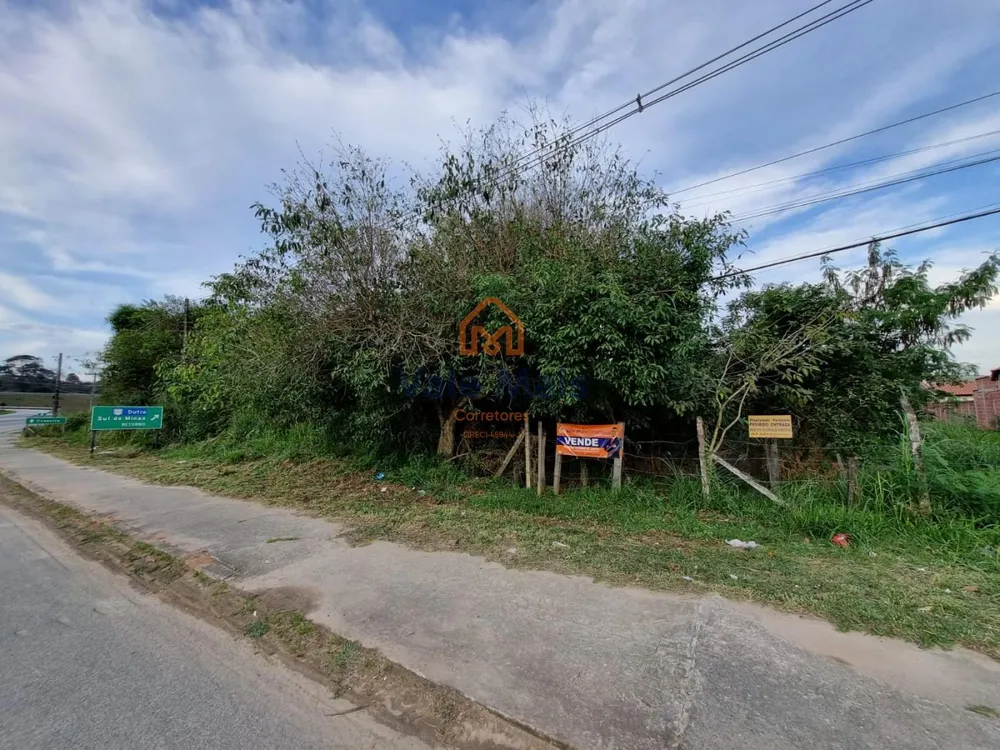 Terreno, 2 hectares - Foto 3