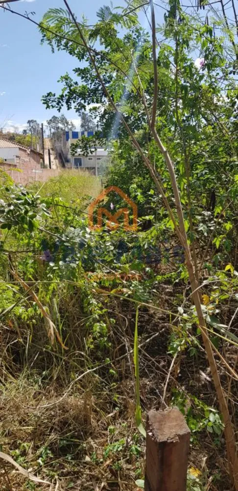 Terreno, 2 hectares - Foto 1