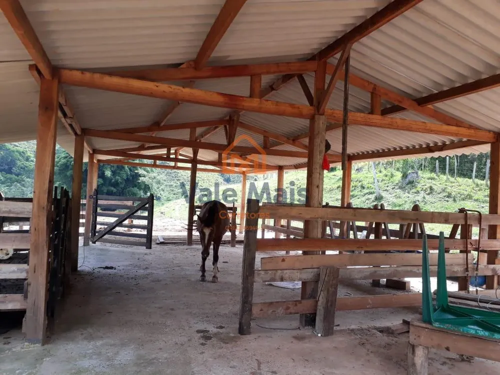 Fazenda, 121 hectares - Foto 11
