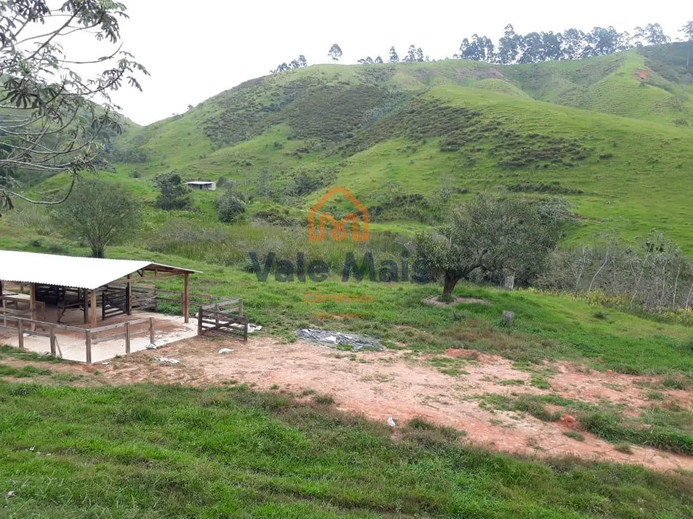 Fazenda, 121 hectares - Foto 1