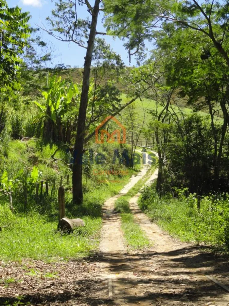 Fazenda, 121 hectares - Foto 6