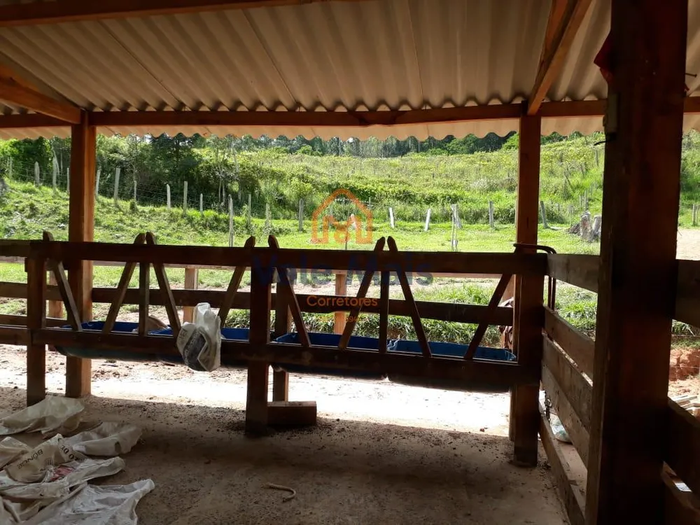 Fazenda, 121 hectares - Foto 8