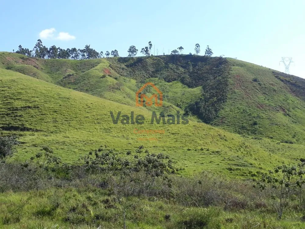 Fazenda, 121 hectares - Foto 4