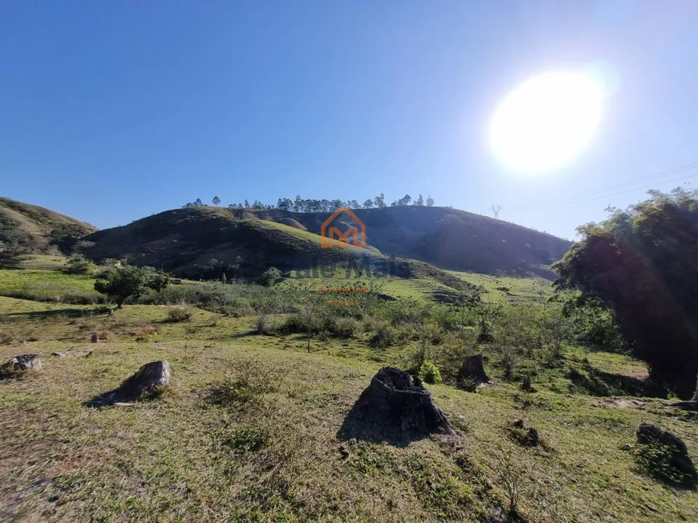 Fazenda, 121 hectares - Foto 3