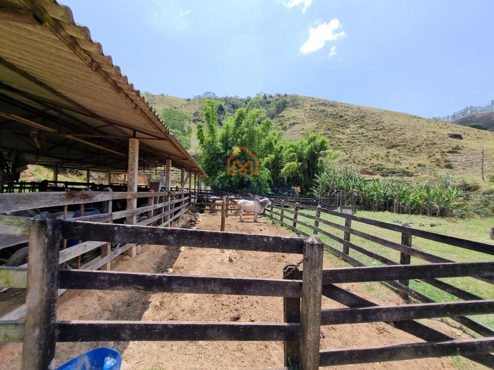Fazenda à venda com 3 quartos, 1029126m² - Foto 3