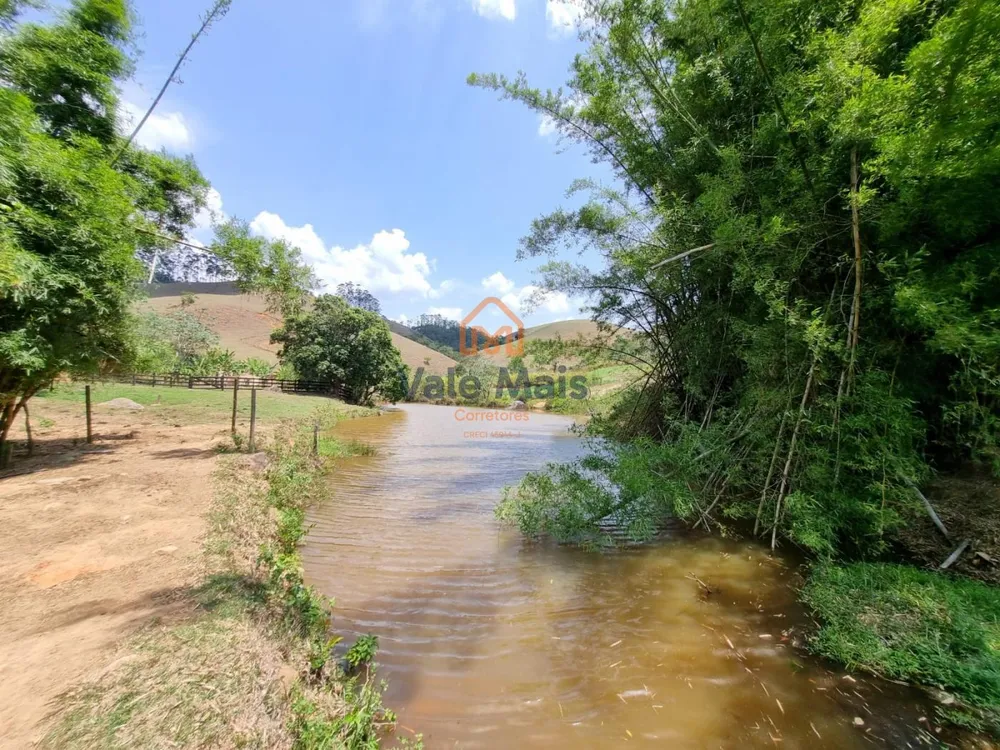 Fazenda, 147 hectares - Foto 10