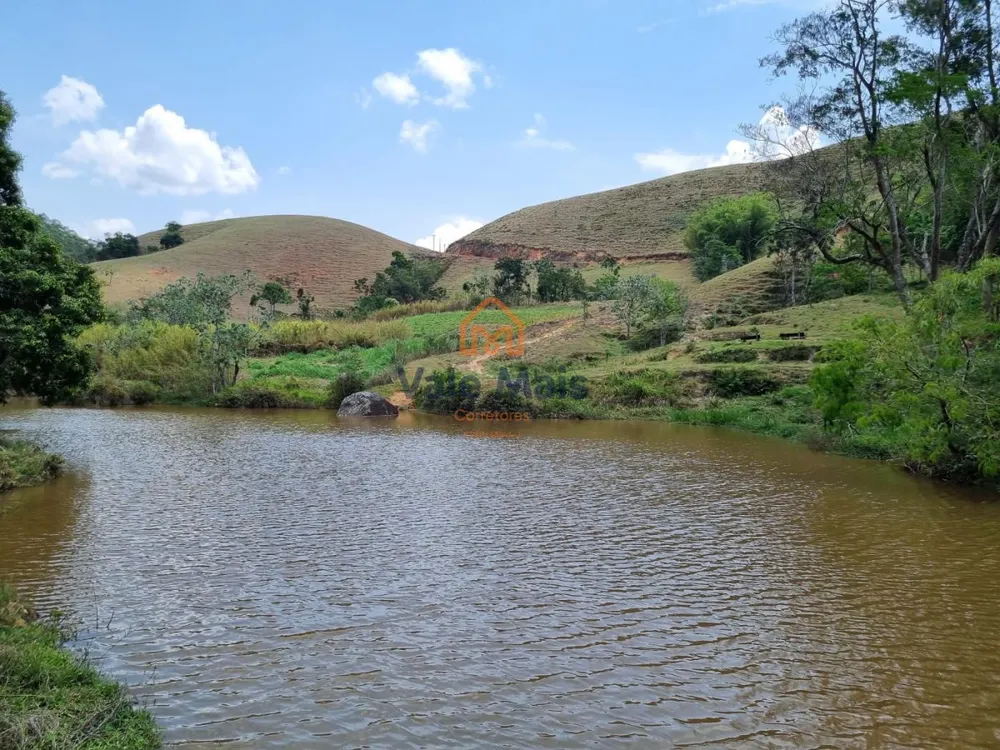 Fazenda, 147 hectares - Foto 5