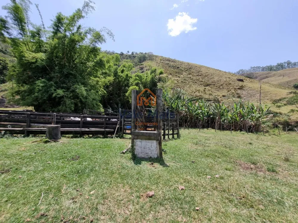 Fazenda, 147 hectares - Foto 5