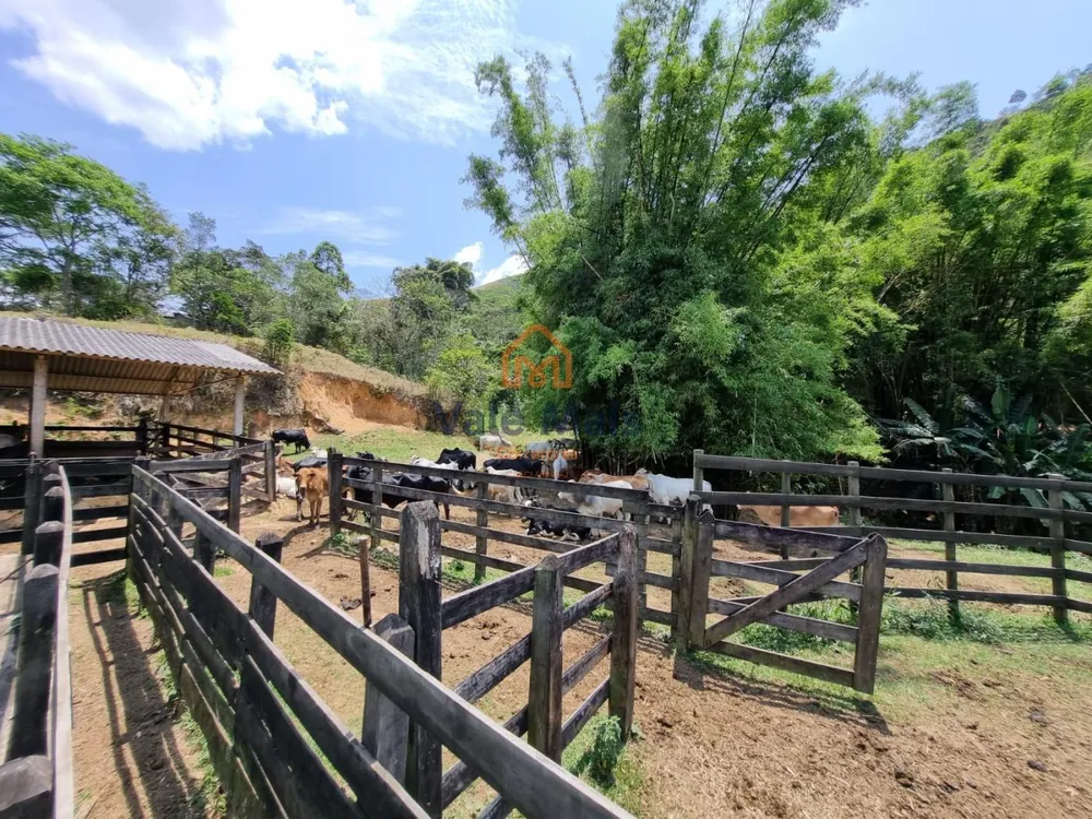 Fazenda, 147 hectares - Foto 6