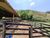 Fazenda, 147 hectares - Foto 3