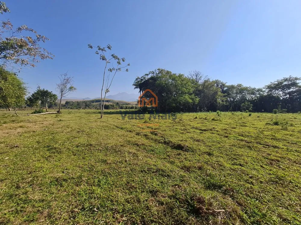 Sítio, 7 hectares - Foto 4