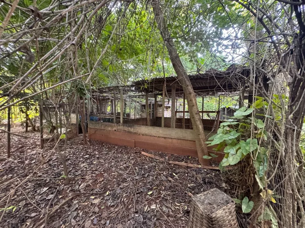 Chácara, 5 quartos, 1575 m² - Foto 9