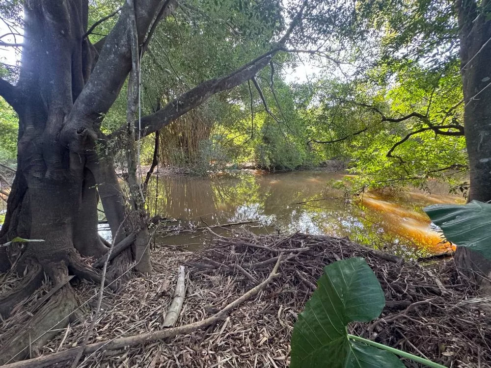 Chácara, 5 quartos, 1575 m² - Foto 12