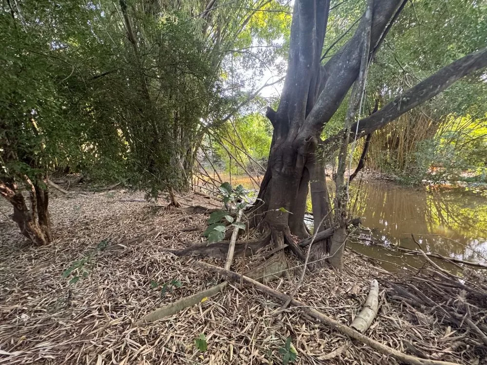 Chácara, 5 quartos, 1575 m² - Foto 11