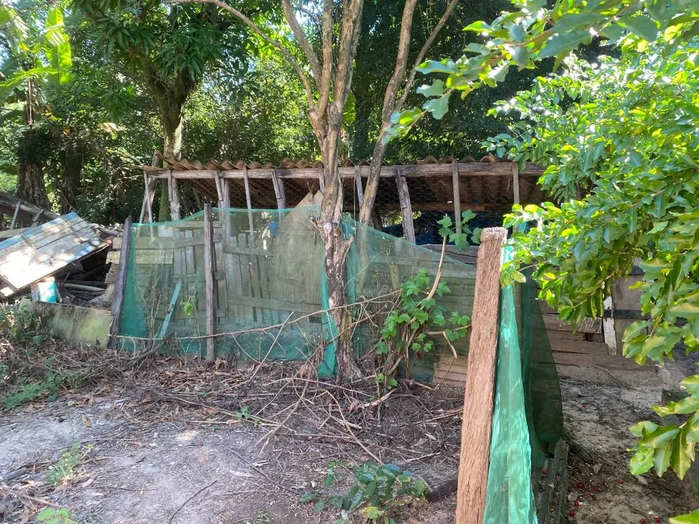 Chácara, 2 quartos, 1260 m² - Foto 11