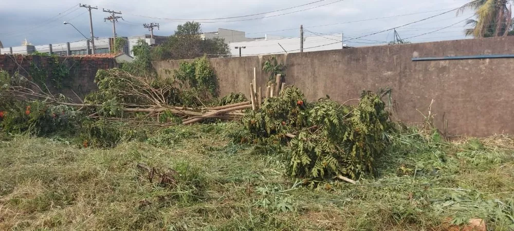 Terreno à venda, 1100m² - Foto 4