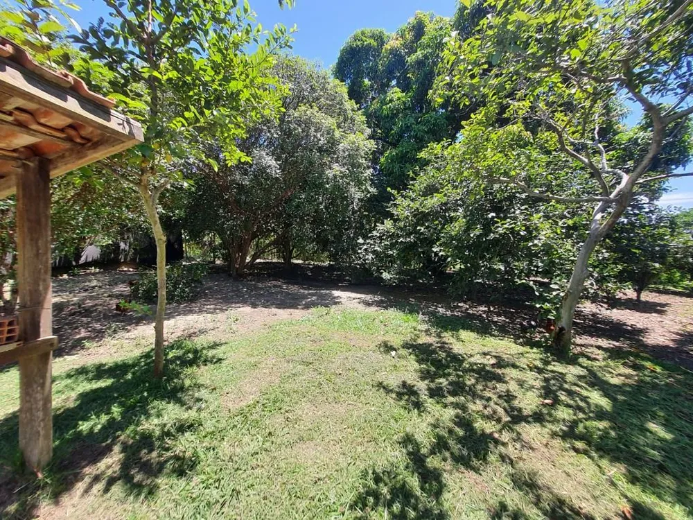 Fazenda, 40 hectares - Foto 3